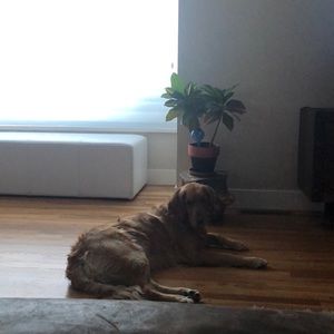 Meet your Posher, Kelley